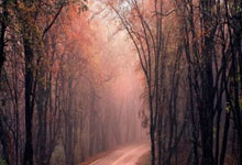 欧博官方网站：[高尔夫]世界排名：坎贝尔夺冠进入前100 克鲁斯维克216位.