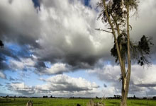 欧博官方网站:辽宁逆转送宁波7连败!弗格34+6赵继伟11+12.