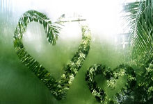 欧博官方网站:詹俊:枪手中场梅里诺身价不应出现在跌幅榜,应在涨幅榜的.