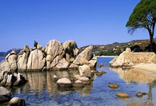 欧博官方网站:巴萨全队泡澡庆祝:75天18场不败+少赛1场仍力压皇马 弗里克封神.